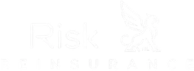 Risk Reinsurance